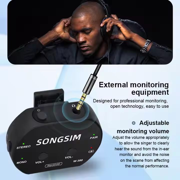 W-380 2.4Ghz Wireless Microphone Professional Dual Channel Condenser Microphone for Musical Instruments Stage