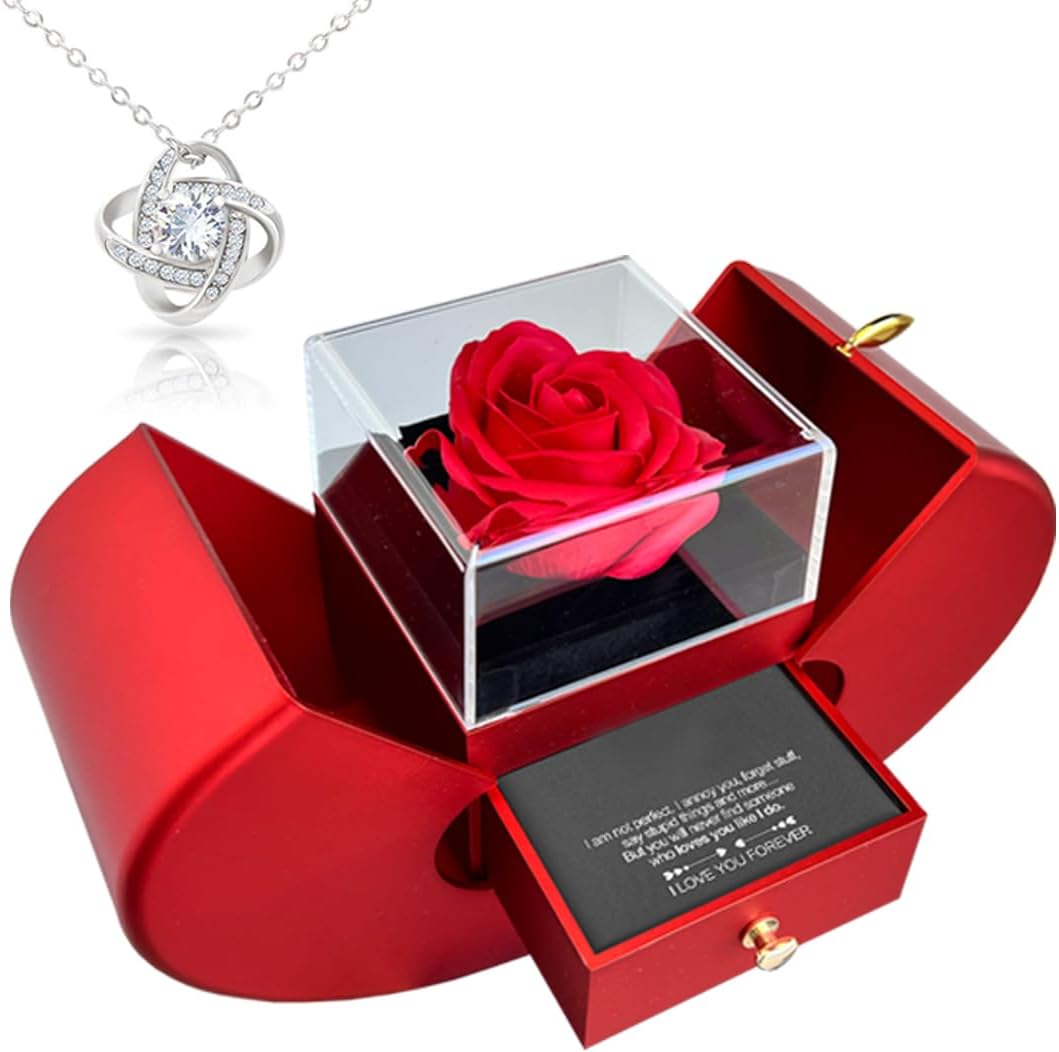 Real Rose Birthday Gifts for Her Girlfriend Wife on Valentines Mothers Day, Christmas, Anniversary - Preserved Rose Gift with Sterling Silver Necklacke