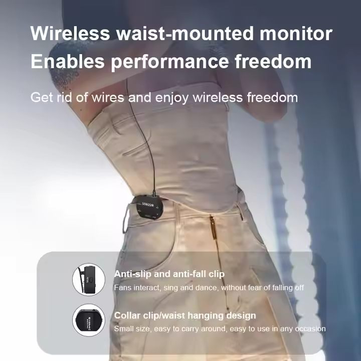 W-380 2.4Ghz Wireless Microphone Professional Dual Channel Condenser Microphone for Musical Instruments Stage