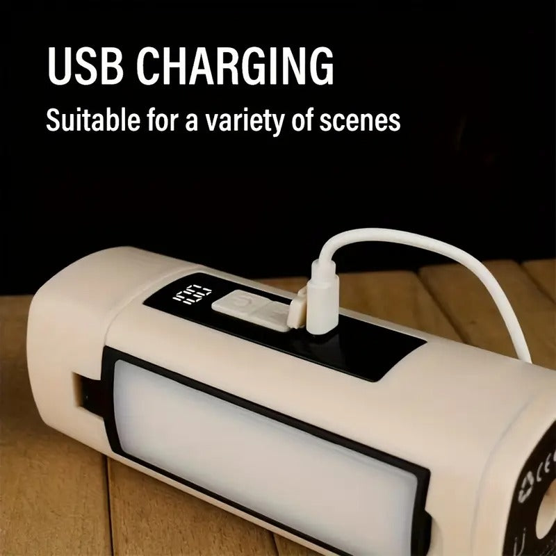 Outdoor portable light